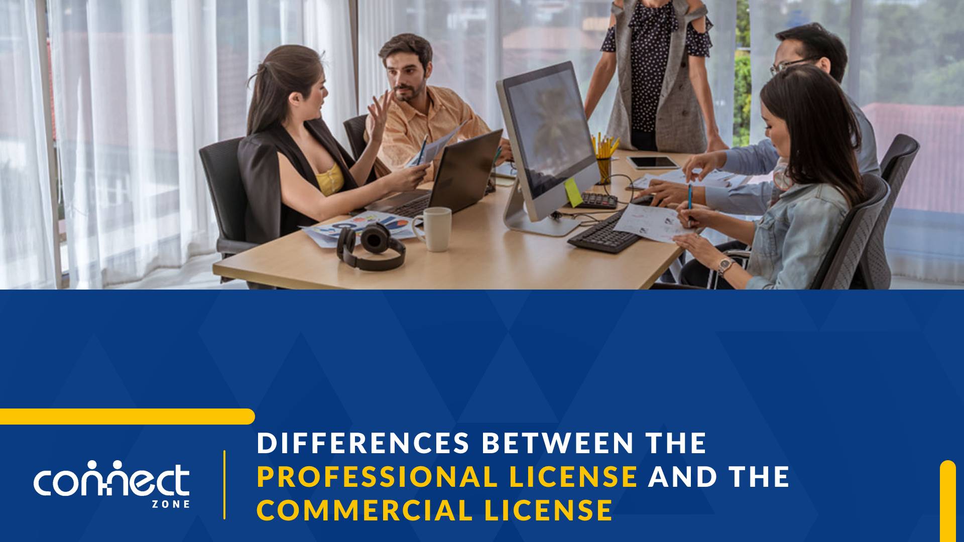 professional license and the commercial license.
