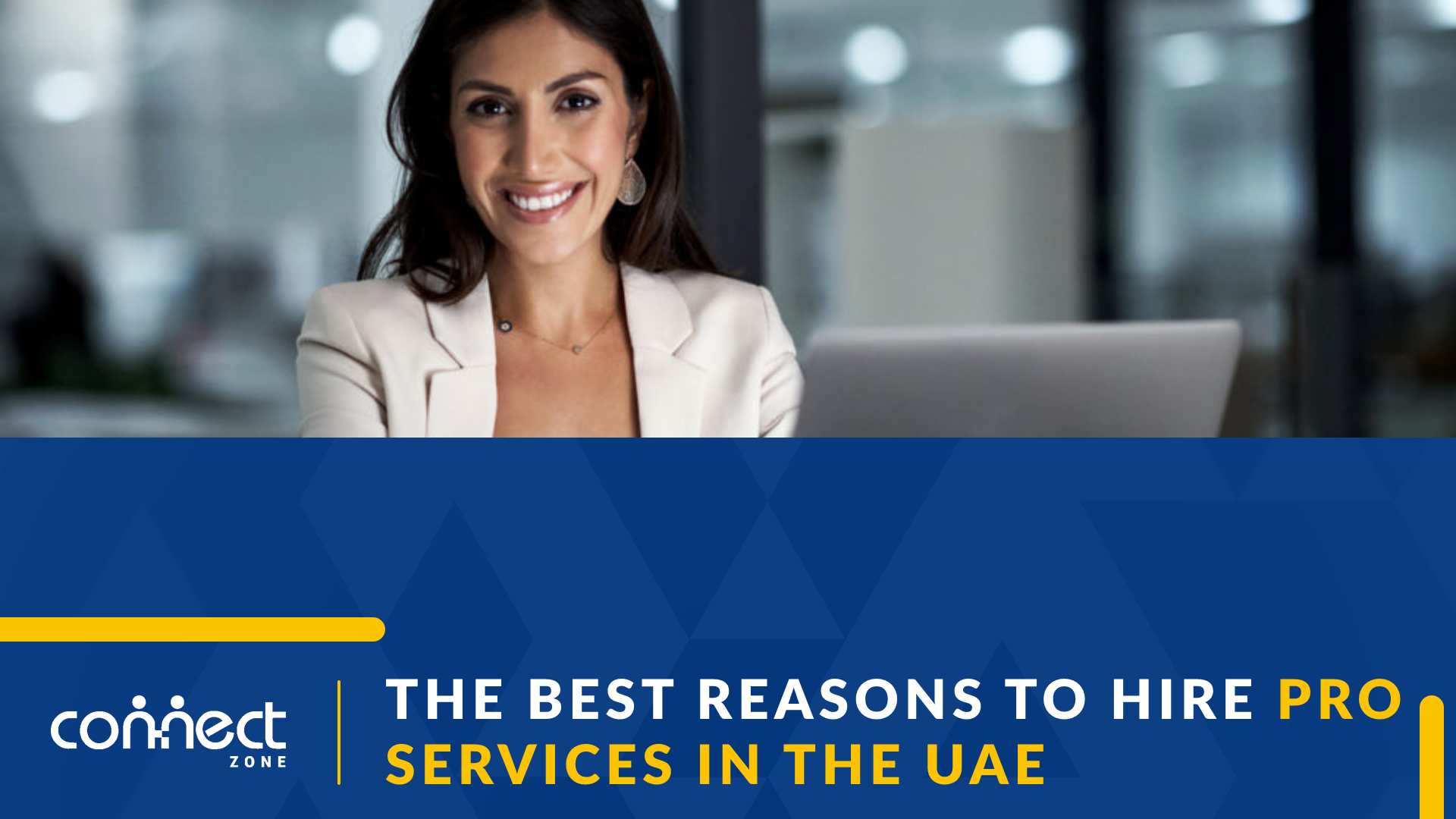 pro services uae